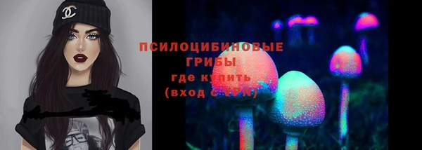 СК Алексеевка