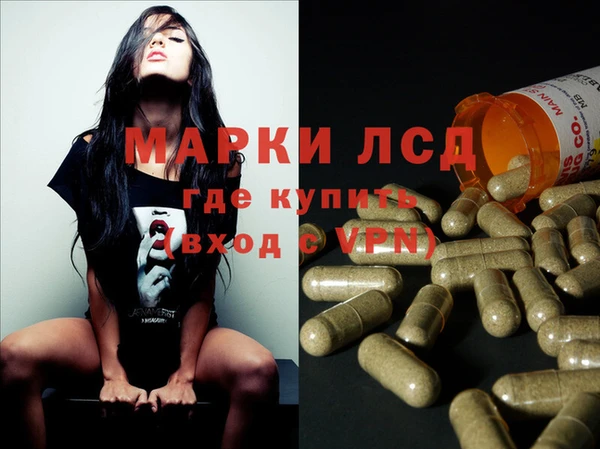 apvp Алексин