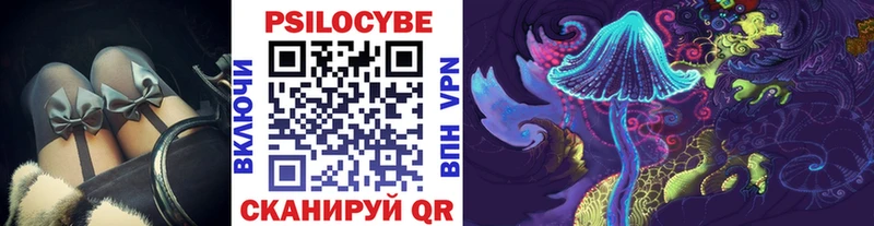 сколько стоит  Славск  Галлюциногенные грибы Psilocybine cubensis 