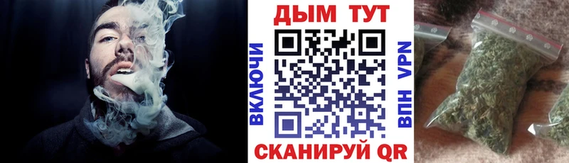 Конопля сатива Славск
